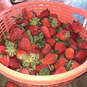 Meet your Posher, Juli